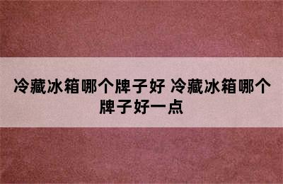 冷藏冰箱哪个牌子好 冷藏冰箱哪个牌子好一点